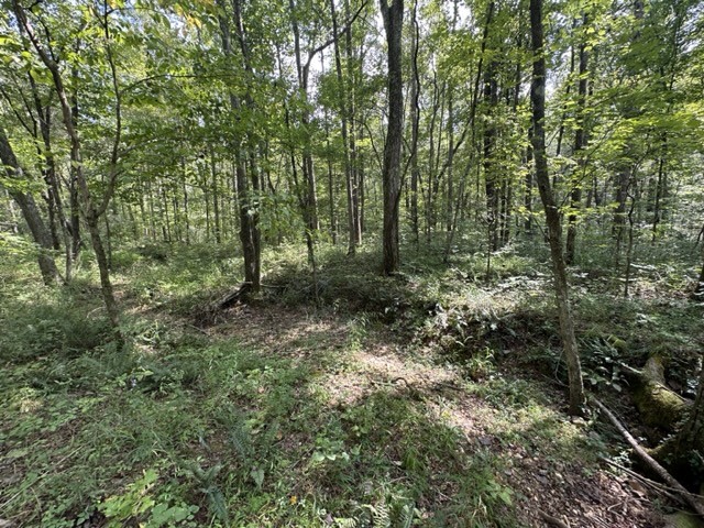 0 Roberts Creek Road Waverly, TN 37185 - Photo 3 of 11