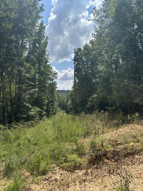 0 Roberts Creek Road Waverly, TN 37185 - Photo 8 of 11