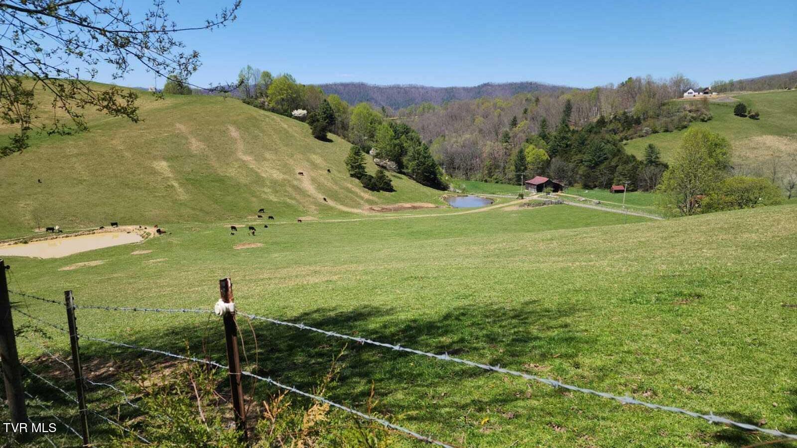 0 Dry Hill Road, Unit LOT 29 Butler, TN 37640 - Photo 9 of 11 IMG-20250416-WA0041