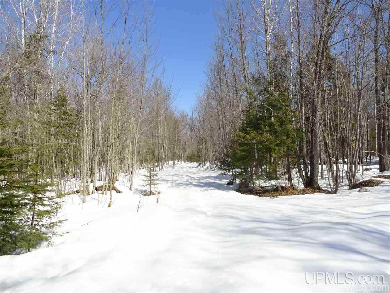 240-acres Leek Road Covington, MI 49919 - Photo 3 of 50