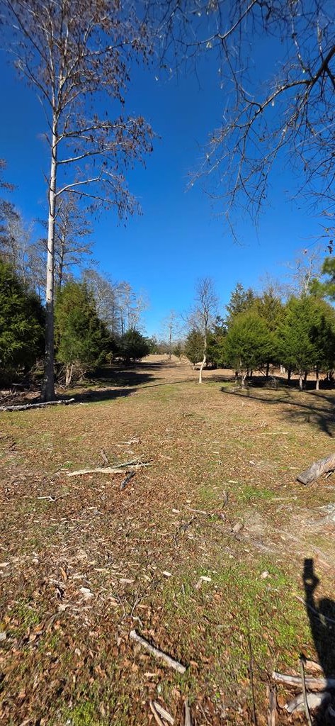 12.7-acres Nobles Road Dothan, AL 36301 - Photo 33 of 41