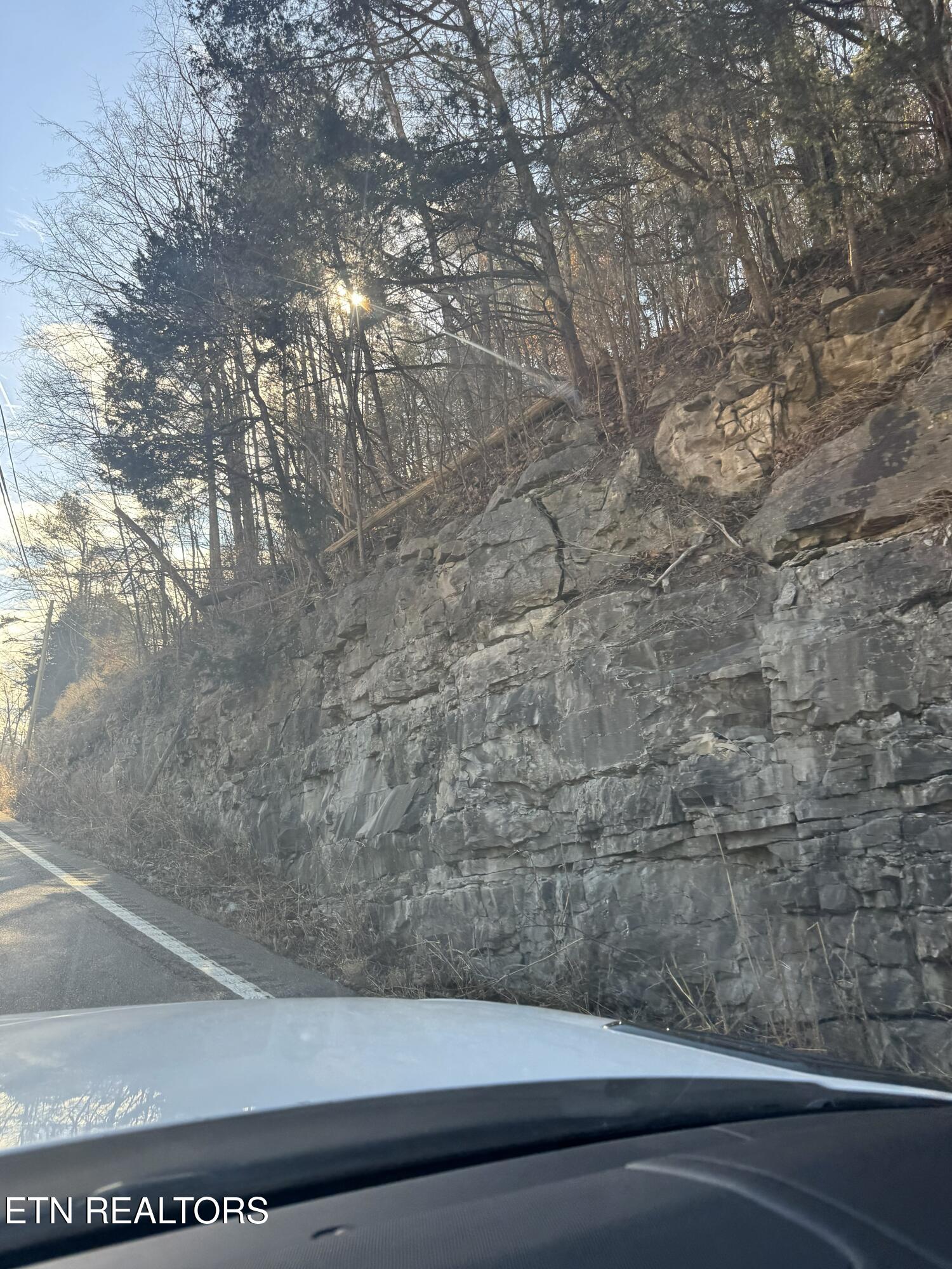 Molly Hollow Road New Tazewell, TN 37825 - Photo 12 of 13 IMG_8324