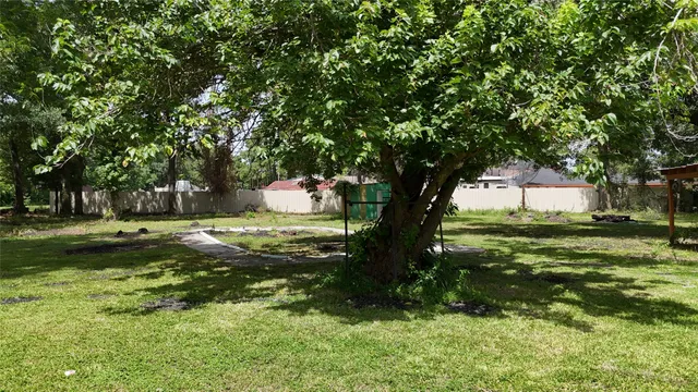 a view of a tree in front of a big yard with large trees