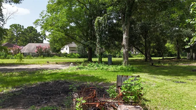 a view of green field with trees