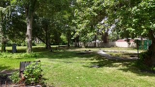 10005 Cypress North Houston Road Houston, TX 77070 - Photo 24 of 31 a view of a tree in a yard