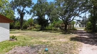 a view of backyard with green space