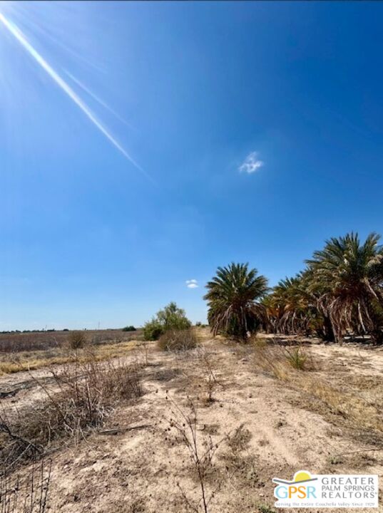 0 Noffsinger Road Niland, CA 92257 - Photo 7 of 25 a view of a dry yard