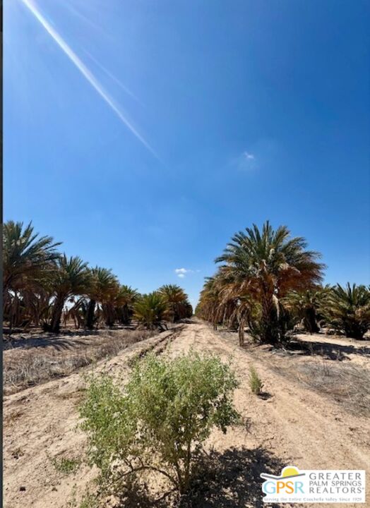 0 Noffsinger Road Niland, CA 92257 - Photo 8 of 25 a view of path and green space