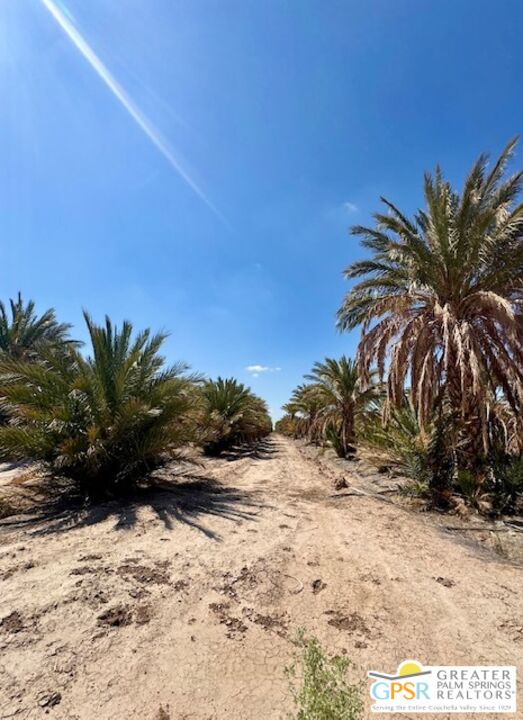 0 Noffsinger Road Niland, CA 92257 - Photo 9 of 25
