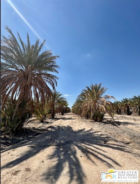 0 Noffsinger Road Niland, CA 92257 - Photo 10 of 25 a view of a backyard of the house
