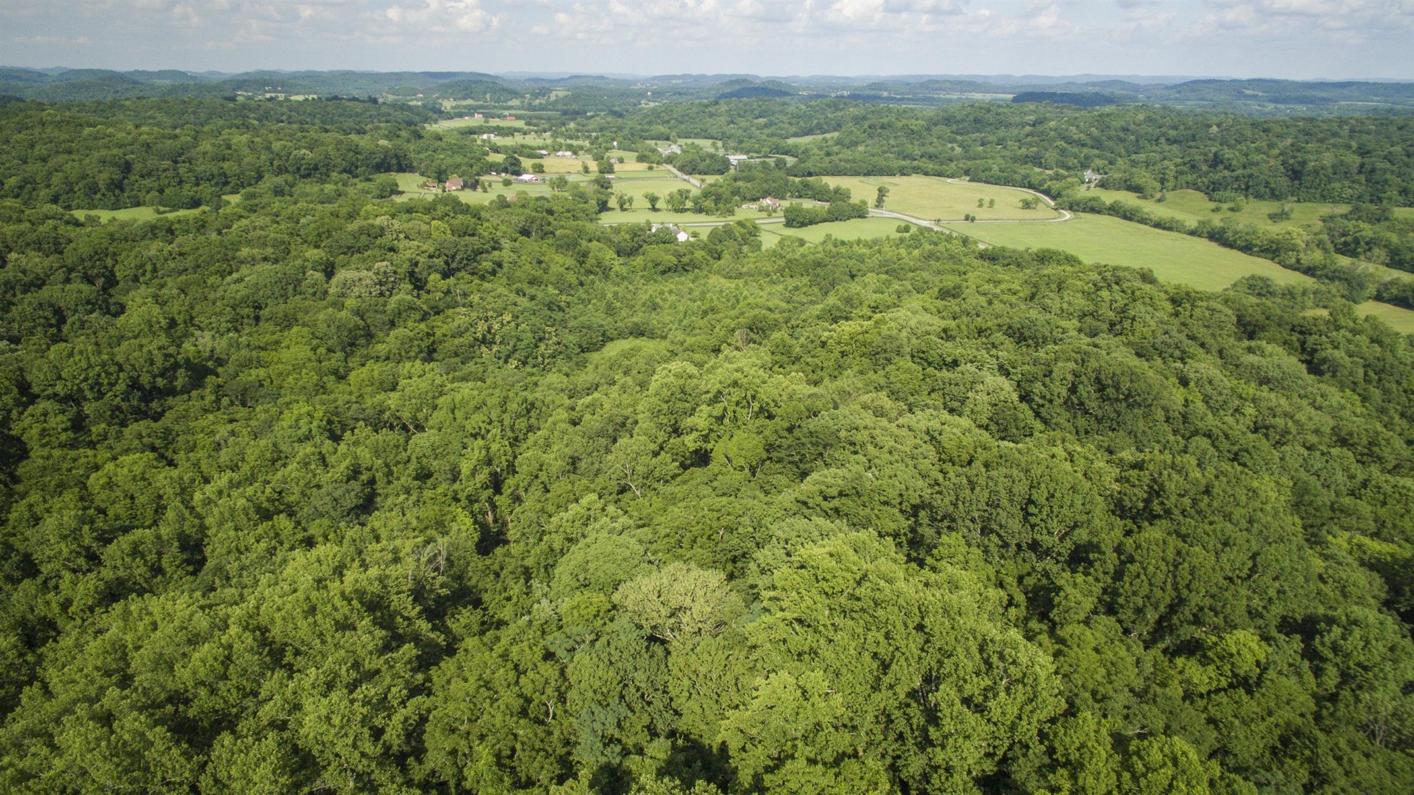 5911 Garrison Road Franklin, TN 37064 - Photo 1 of 15 a view of a city with lush green forest