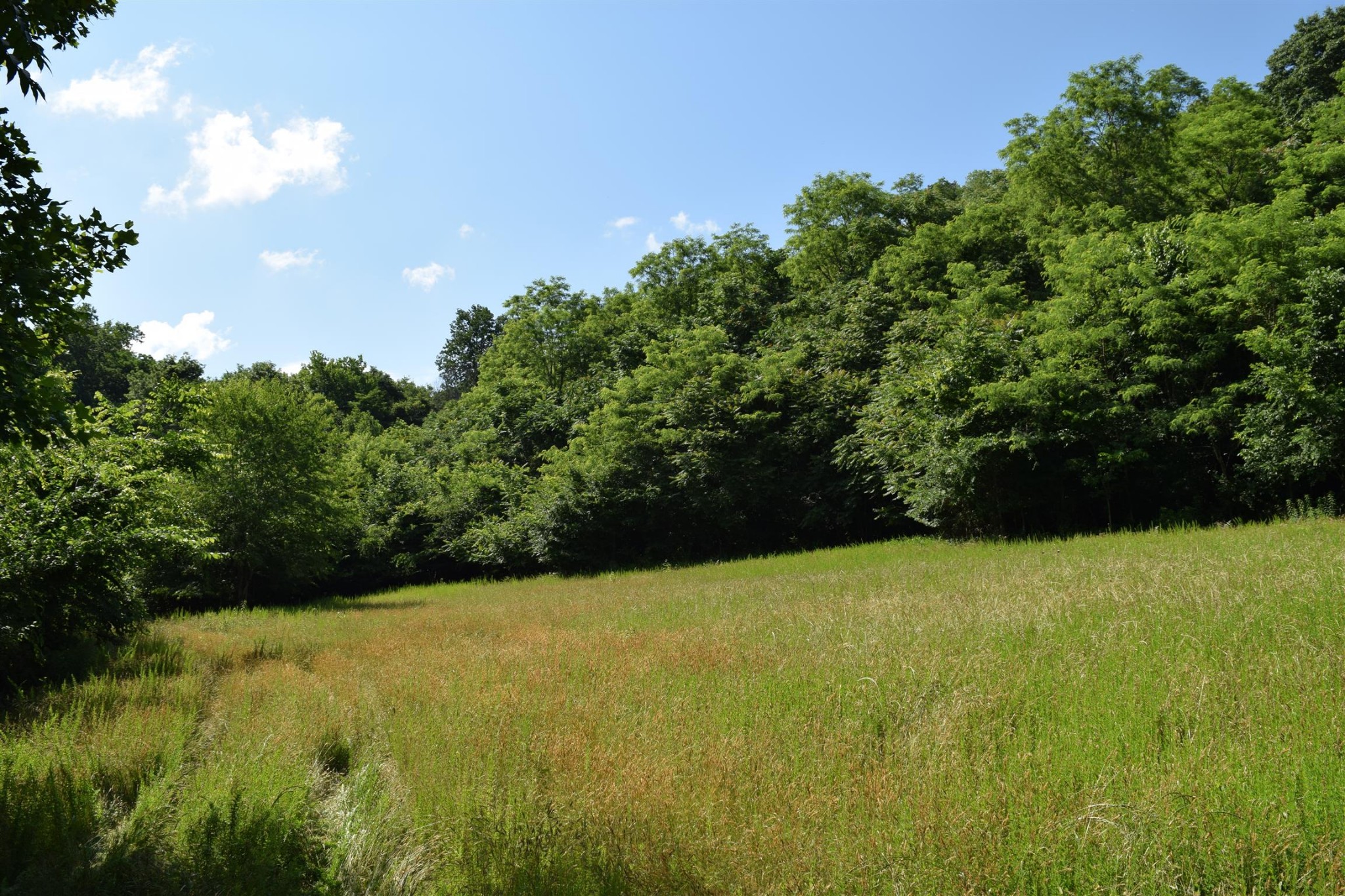 5911 Garrison Road Franklin, TN 37064 - Photo 2 of 15 a view of outdoor space and yard
