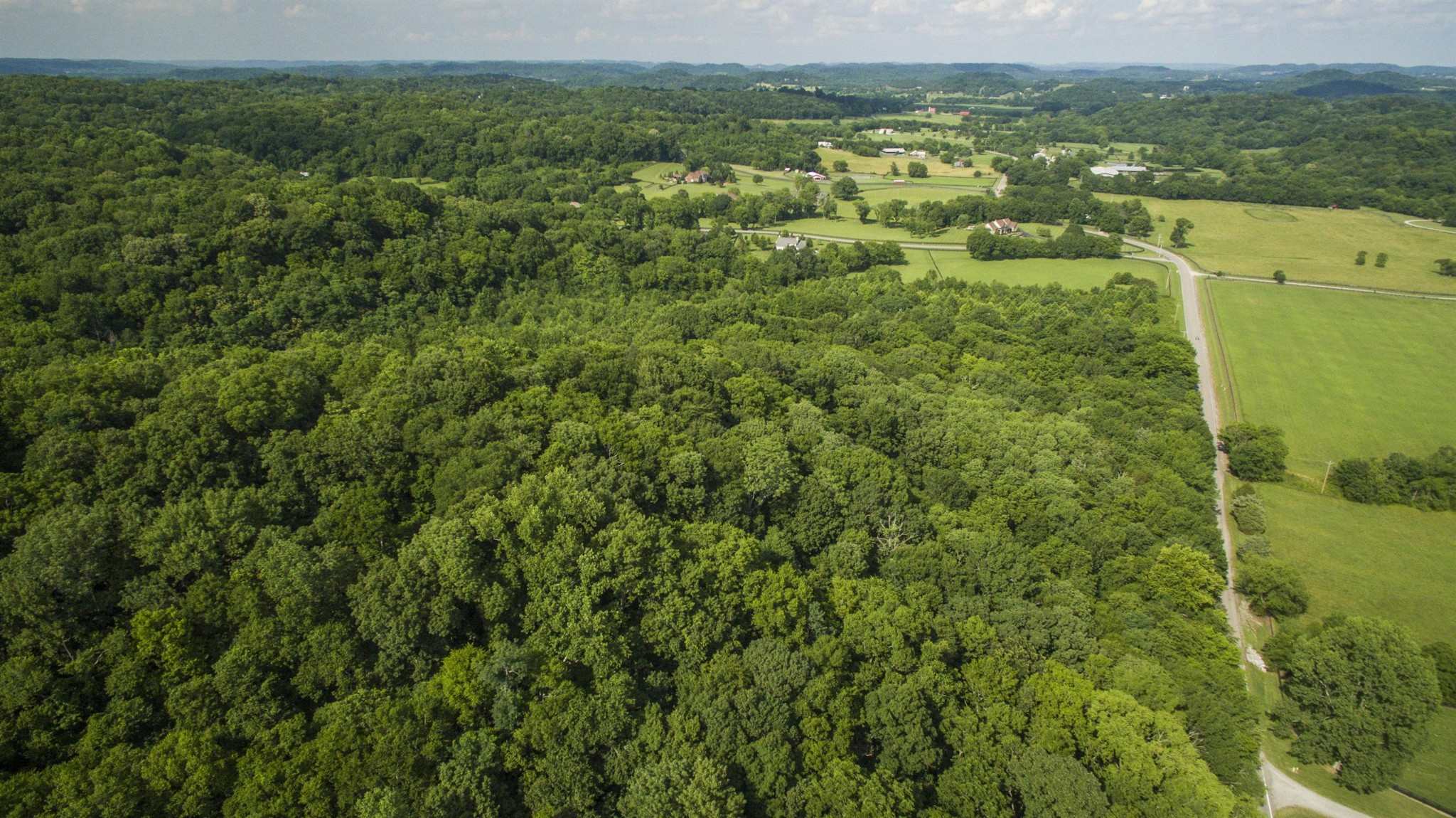 5911 Garrison Road Franklin, TN 37064 - Photo 3 of 15 a view of a city with lush green forest