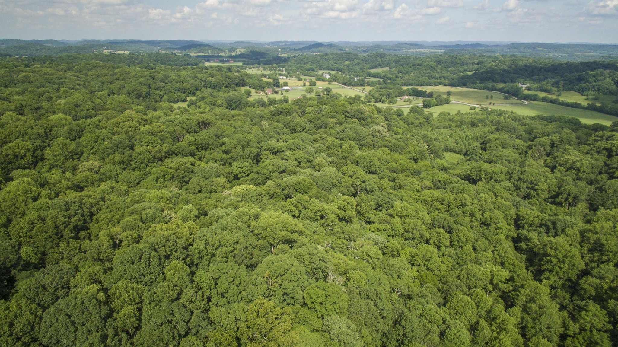 5911 Garrison Road Franklin, TN 37064 - Photo 5 of 15 a view of a city with lush green forest