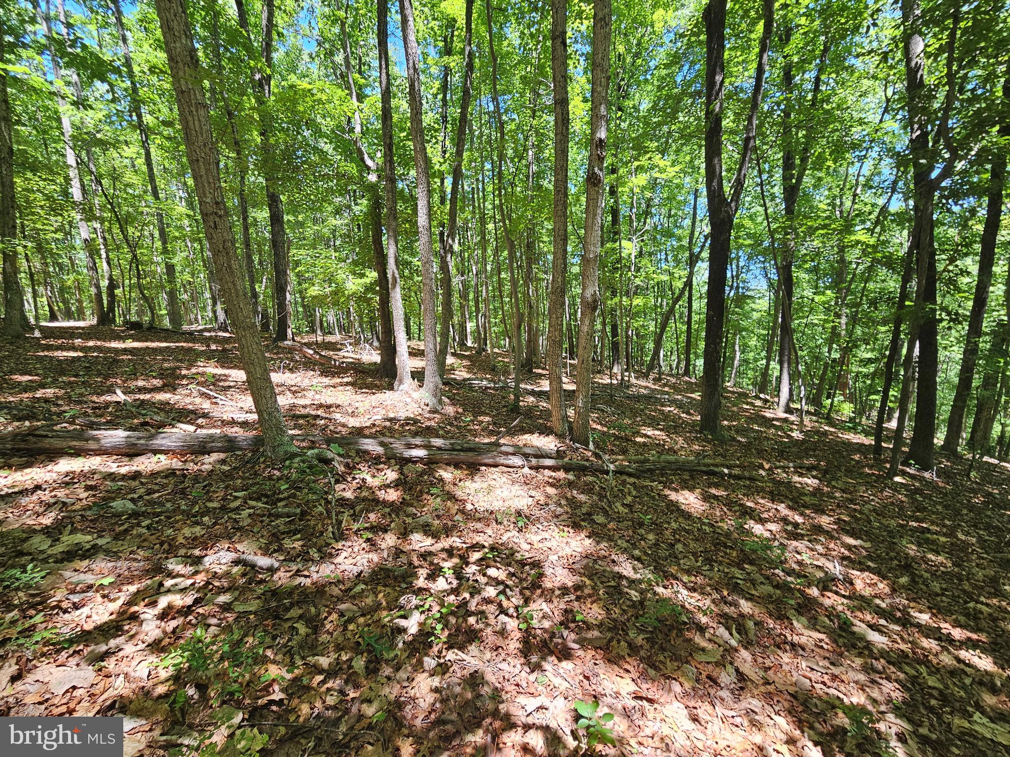 15-ac Manteo Road Buckingham, VA 23921 - Photo 13 of 18