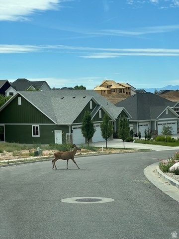 1237 East Amaryllis Way Layton, UT 84040 - Photo 6 of 16 Deer wandering neighborhood