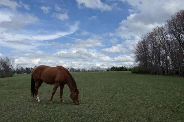 $289,900 | 0 Alabama Hwy Flat, Unit 71, Flat Rock, AL 35966