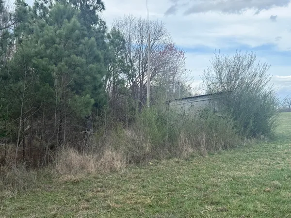 $289,900 | 0 Alabama Hwy Flat, Unit 71, Flat Rock, AL 35966