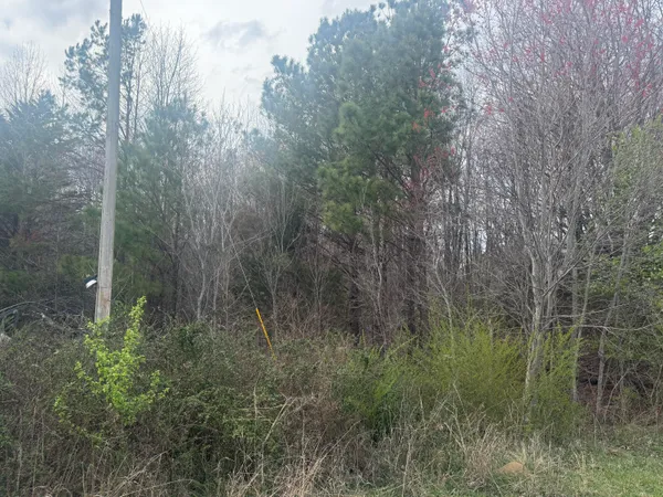 $289,900 | 0 Alabama Hwy Flat, Unit 71, Flat Rock, AL 35966