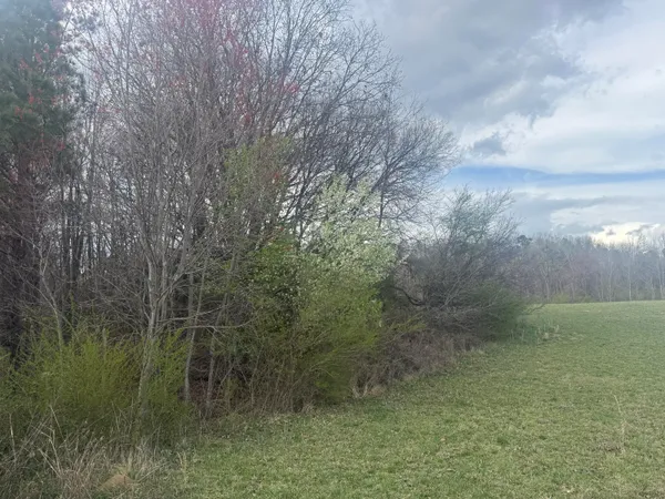 $289,900 | 0 Alabama Hwy Flat, Unit 71, Flat Rock, AL 35966