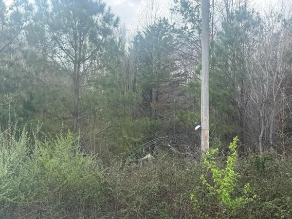 $289,900 | 0 Alabama Hwy Flat, Unit 71, Flat Rock, AL 35966