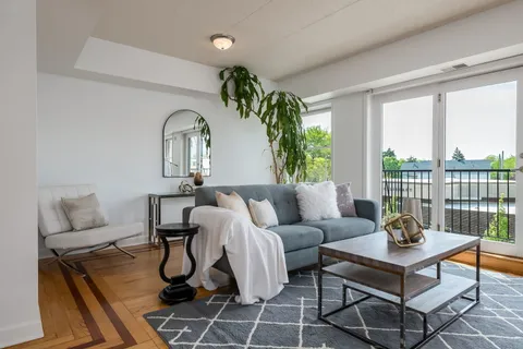 a living room with furniture and a potted plant