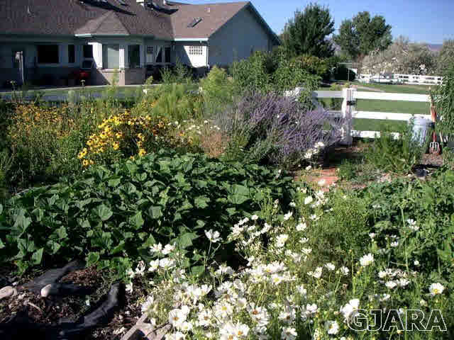 2334 Sundial Road Grand Junction, CO 81505 - Photo 29 of 31 a view of a house with a yard and garden