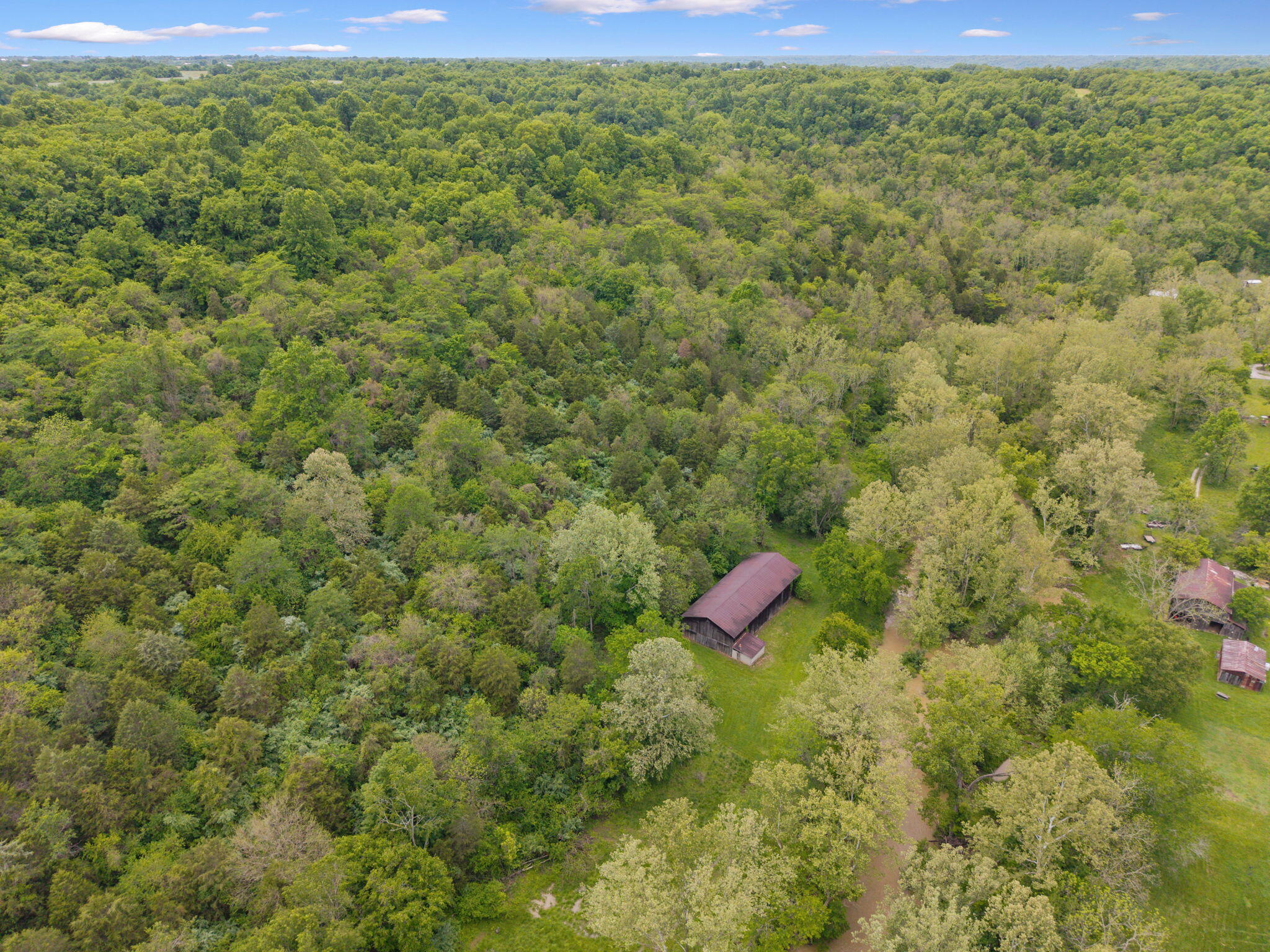 925 Lockmier Road Augusta, KY 41002 - Photo 35 of 50
