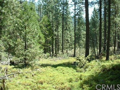 Unassigned Chowchilla Mtn Road Mariposa, CA 95338 - Photo 1 of 1 Gallery Image 1