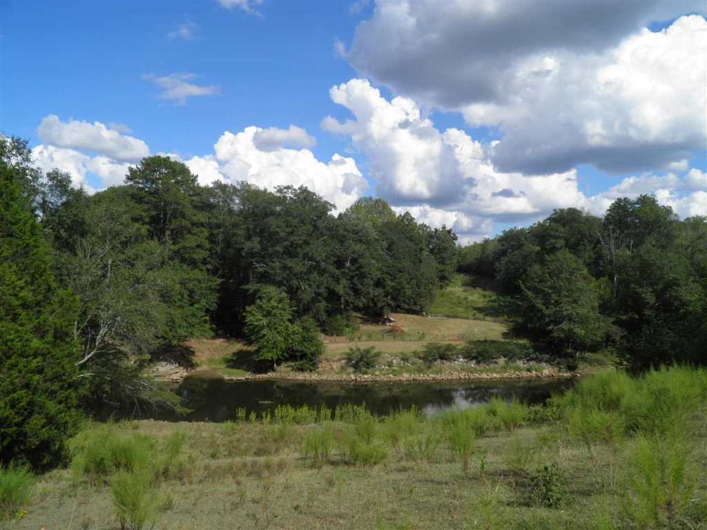 North Fishtrap Road Easley, SC 29640 - Photo 11 of 23 Gallery Image 11