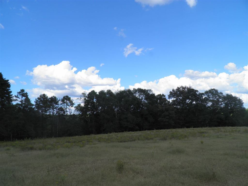 North Fishtrap Road Easley, SC 29640 - Photo 2 of 23 Gallery Image 2