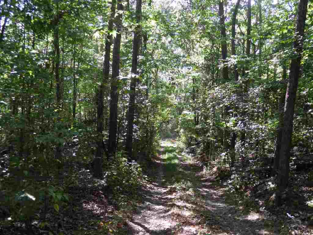 North Fishtrap Road Easley, SC 29640 - Photo 21 of 23 Gallery Image 21