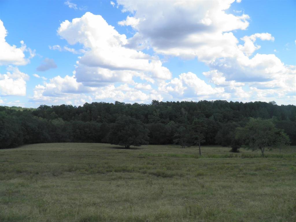 North Fishtrap Road Easley, SC 29640 - Photo 5 of 23 Gallery Image 5