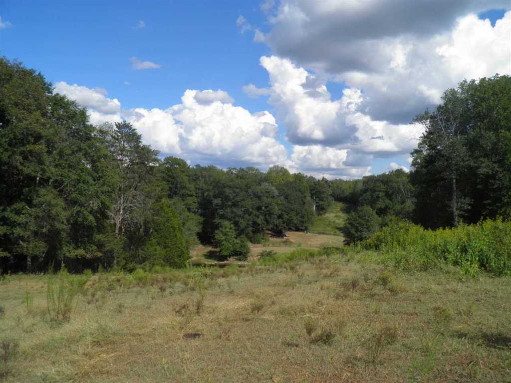 North Fishtrap Road Easley, SC 29640 - Photo 9 of 23 Gallery Image 9