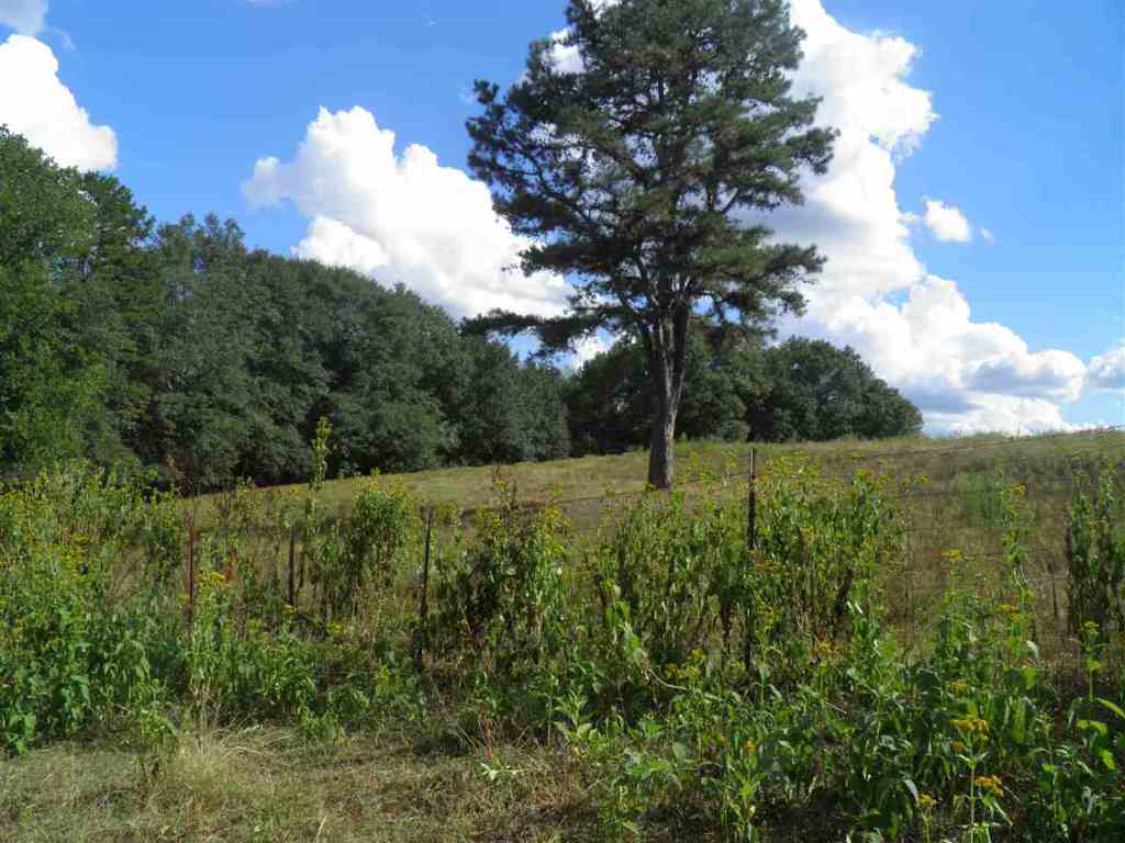 North Fishtrap Road Easley, SC 29640 - Photo 10 of 23 Gallery Image 10