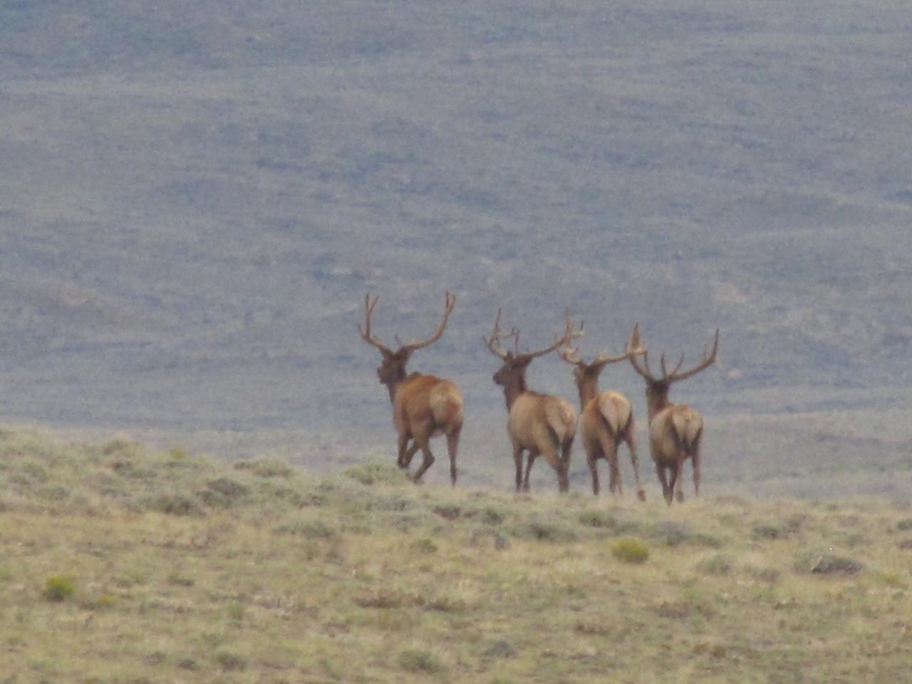 Shamrock Road Rawlins, WY 82301 - Photo 26 of 30