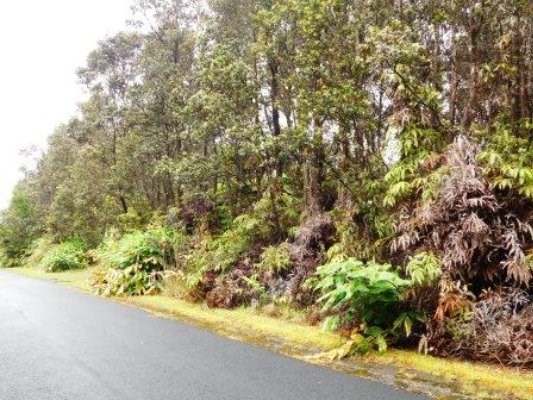 325 3rd Street Volcano, HI 96785 - Photo 1 of 2 Gallery Image 1