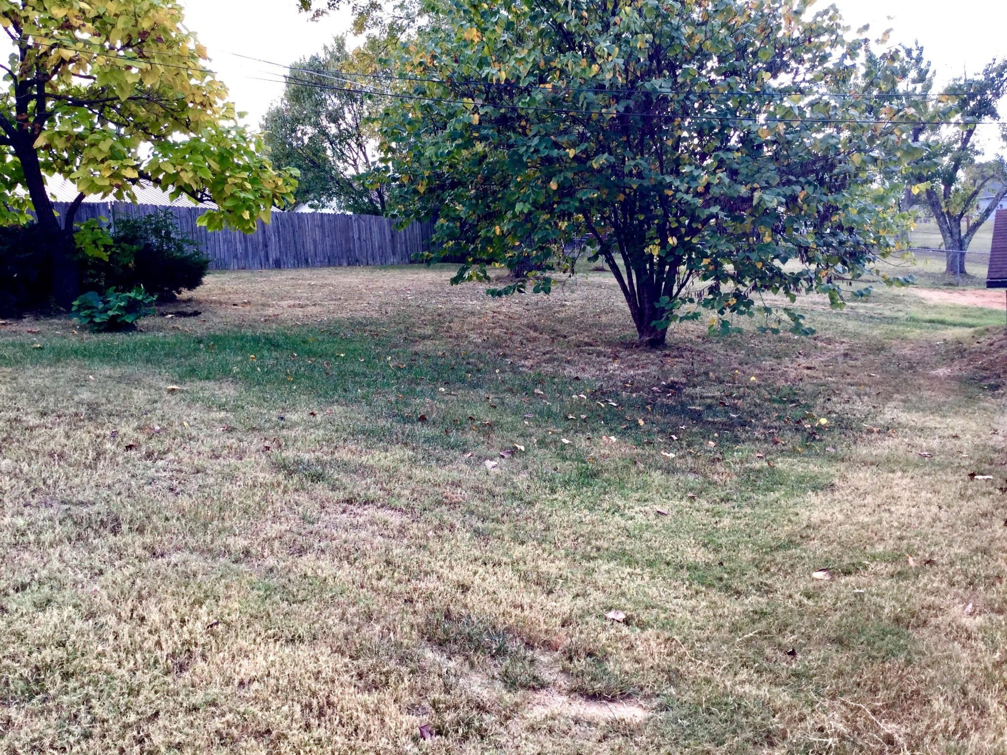 7640 Cranley Road Powell, TN 37849 - Photo 23 of 26 Gallery Image 23