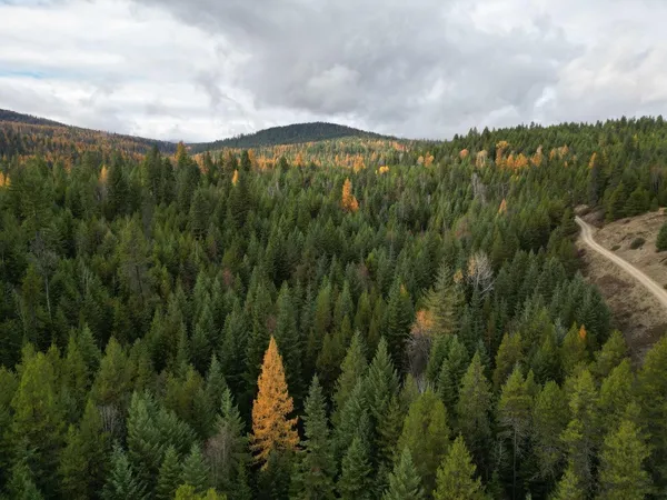 $235,000 | Tbd Schlegel Rnch Road, Ione, WA 99139