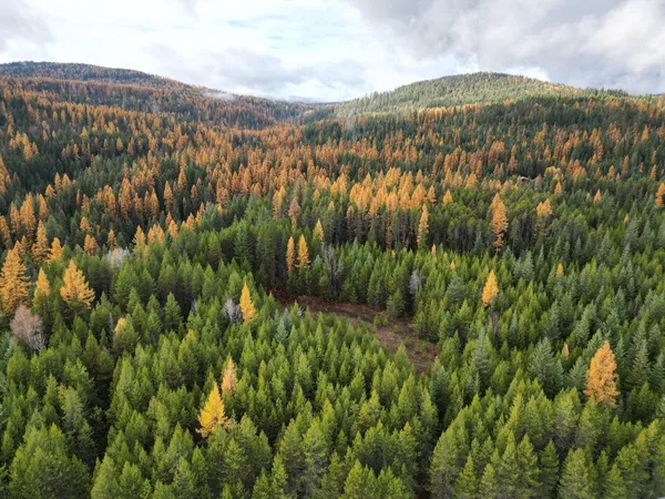 $235,000 | Tbd Schlegel Rnch Road, Ione, WA 99139
