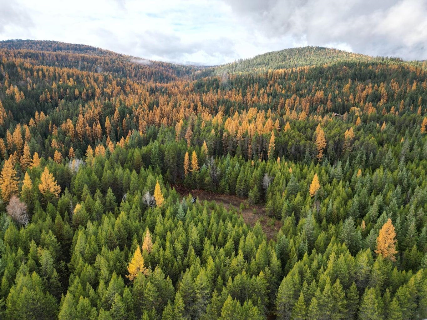 Tbd Schlegel Rnch Road Ione, WA 99139 - Photo 3 of 12