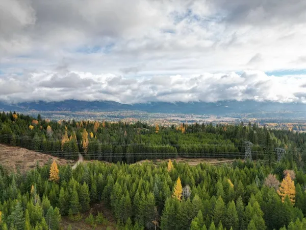 $235,000 | Tbd Schlegel Rnch Road, Ione, WA 99139