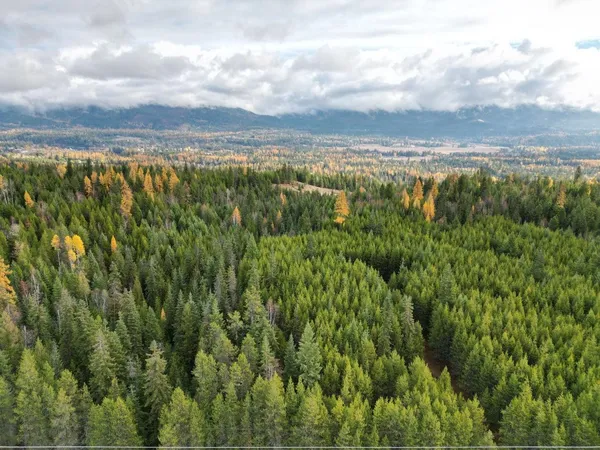 $235,000 | Tbd Schlegel Rnch Road, Ione, WA 99139