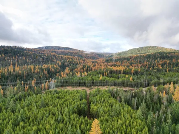 $235,000 | Tbd Schlegel Rnch Road, Ione, WA 99139