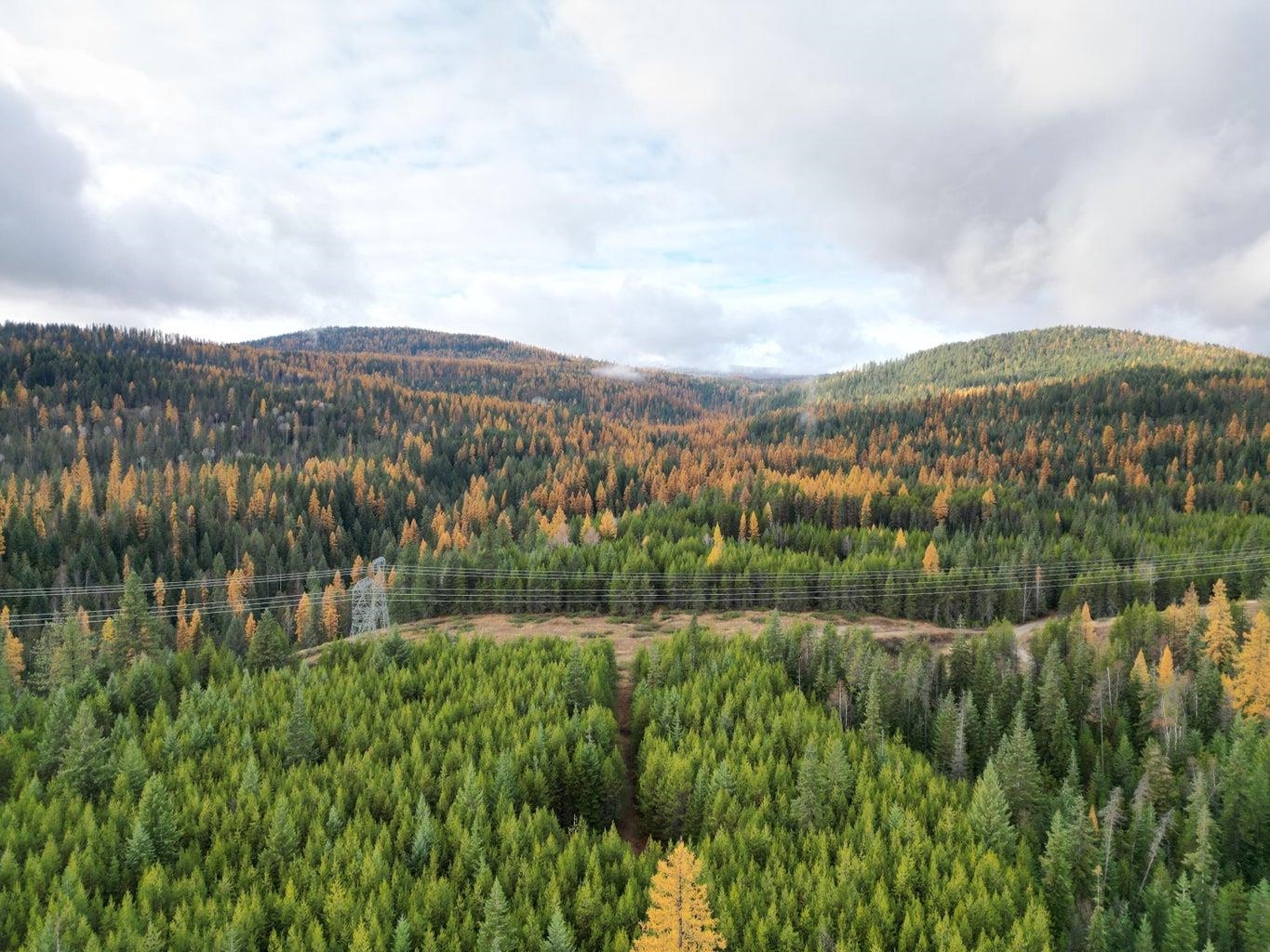 Tbd Schlegel Rnch Road Ione, WA 99139 - Photo 6 of 12