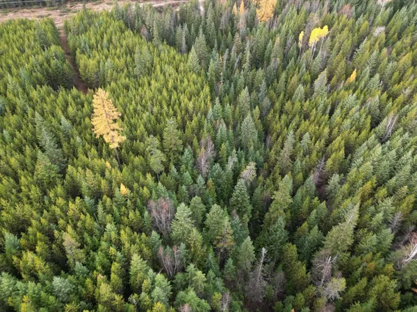 $235,000 | Tbd Schlegel Rnch Road, Ione, WA 99139