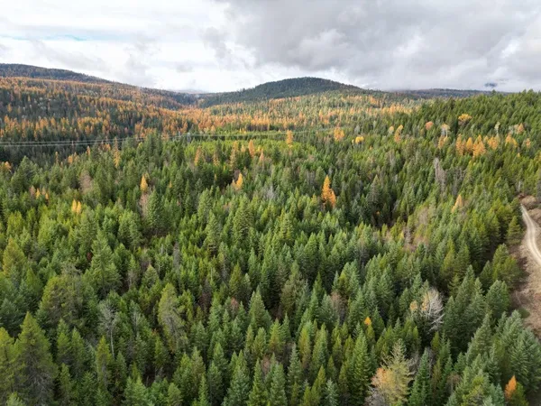 $235,000 | Tbd Schlegel Rnch Road, Ione, WA 99139