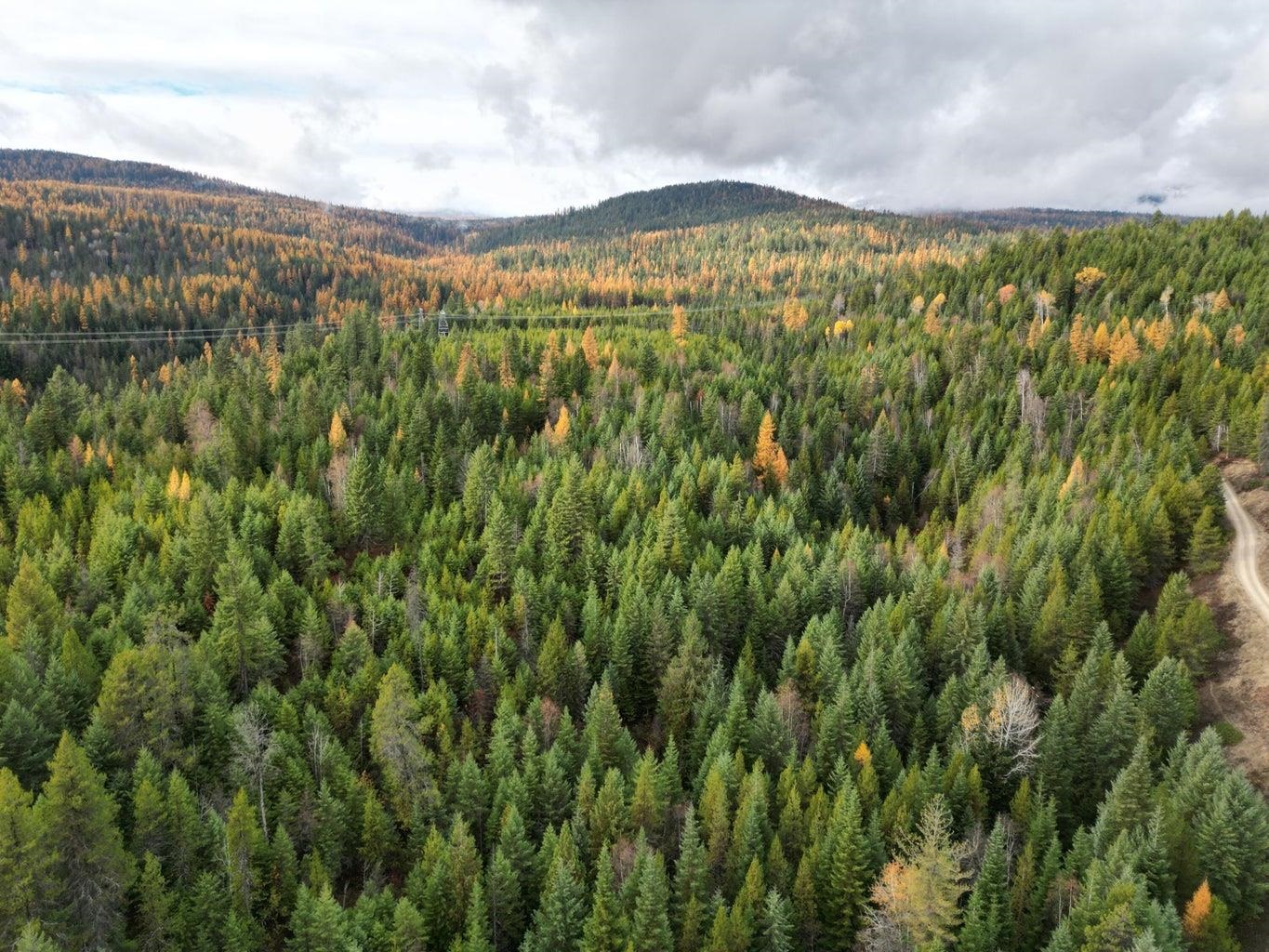 Tbd Schlegel Rnch Road Ione, WA 99139 - Photo 9 of 12