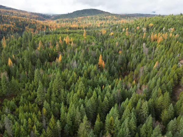 $235,000 | Tbd Schlegel Rnch Road, Ione, WA 99139