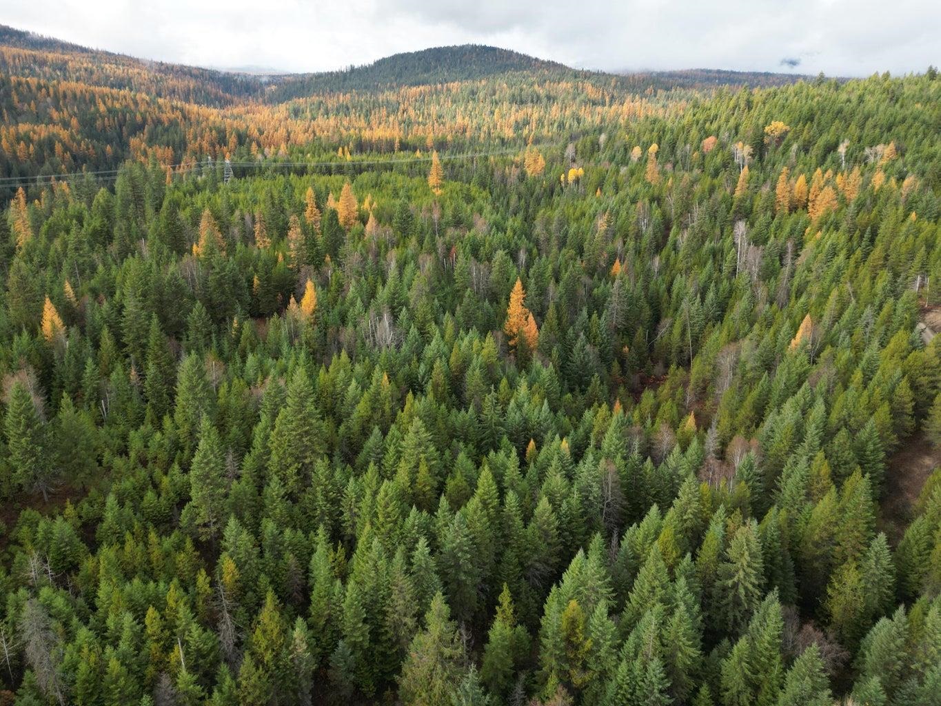 Tbd Schlegel Rnch Road Ione, WA 99139 - Photo 10 of 12